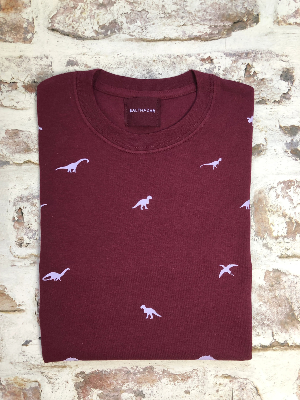 Vyelle Unisex Custom Embroidered Dinosaur T-Shirt  Relaxed Fit Short-Sleeve Cotton Top