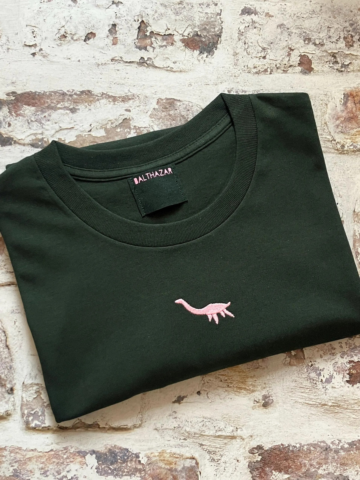 Vyelle Unisex Embroidered Dinosaur T-Shirt - Relaxed Fit Short-Sleeve Cotton Top