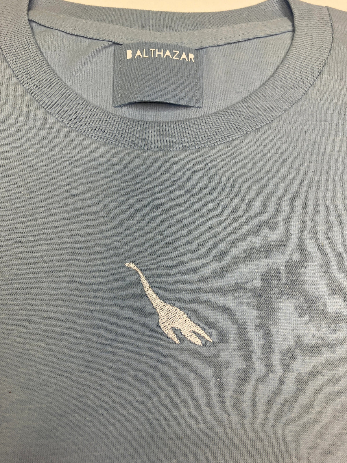 Vyelle Unisex Embroidered Dinosaur T-Shirt - Relaxed Fit Short-Sleeve Cotton Top