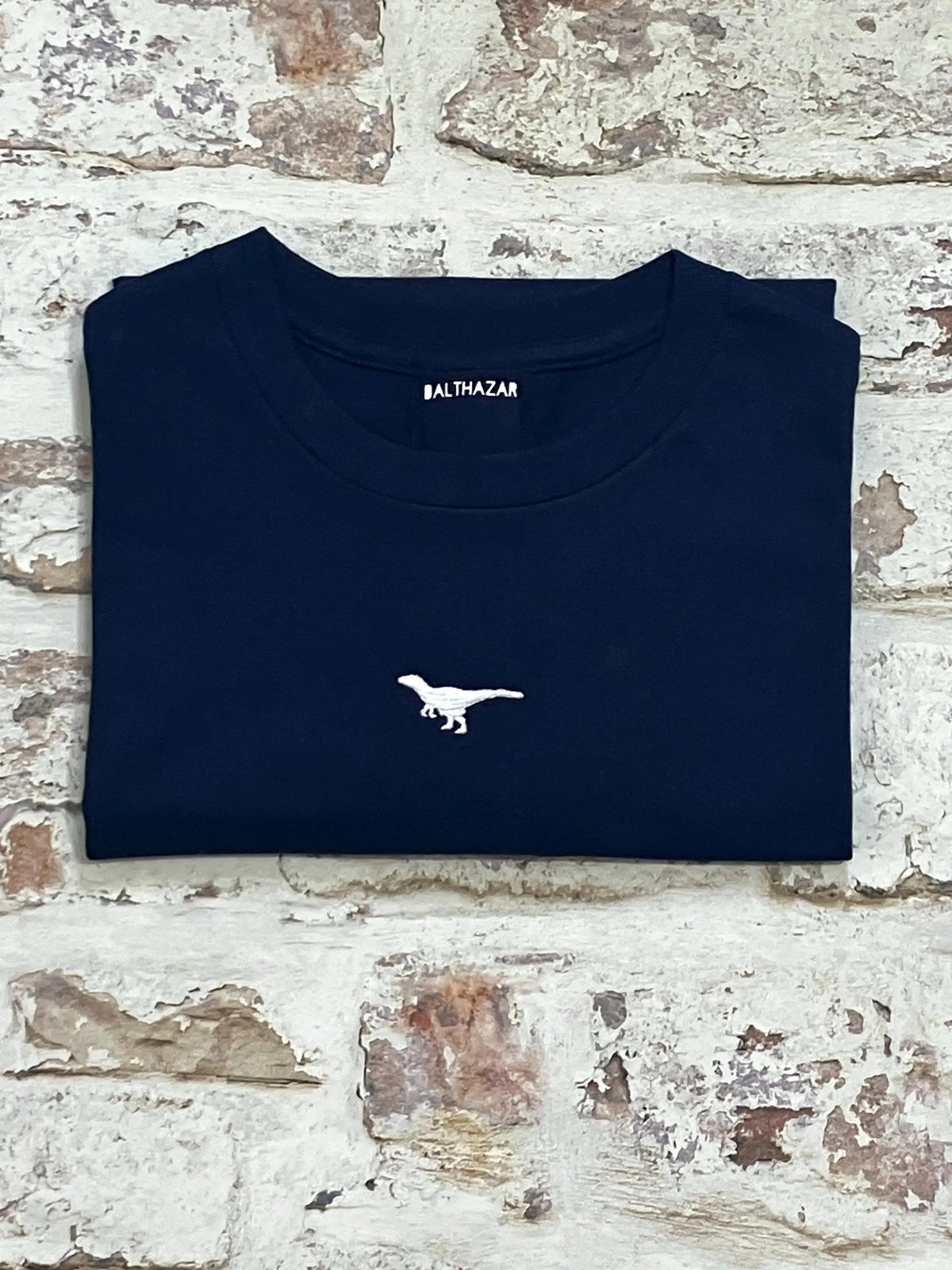 Vyelle Unisex Embroidered Dinosaur T-Shirt - Relaxed Fit Short-Sleeve Cotton Top